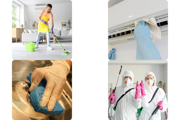 لماذا تختار الصفوة كلين؟